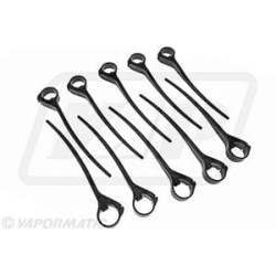 Ritės dantys (x10) VLH6384