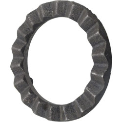 Sankabos diskas Bizon 3020504002056