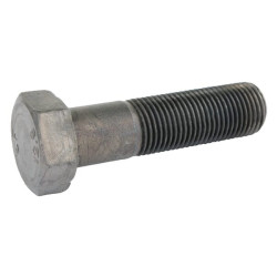 Varžtas CW500031800