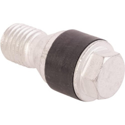 Kūginis varžtas 0006287003