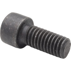 Varžtas su šešiakampe galvute 0006038251