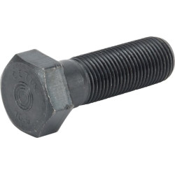 Šešiakampis varžtas 0002147690KR