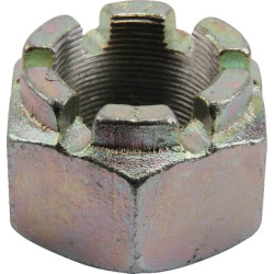 Kastelinė riešutė 0006241570