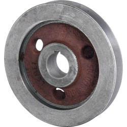 Uodų sraigto diržo skriemulys Bizon 3020504018001