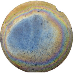 Kratytuvo dangtis Bizon 3020504013009