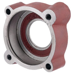 Plaktuvo guolio korpusas Bizon 3020504010005