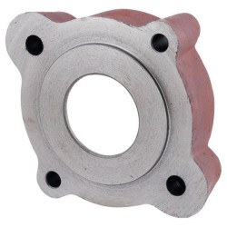 Plaktuvo guolio korpusas Bizon 3020504010005