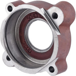 Plaktuvo guolio korpusas Bizon 3020505062017