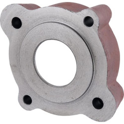 Plaktuvo guolio korpusas Bizon 3020505062017