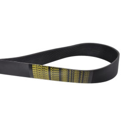 Ventiliatoriaus diržas F06010160R