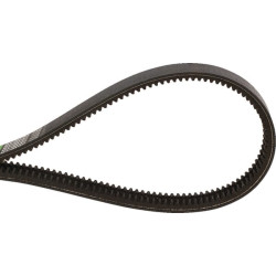 V formos diržas 04437549AB