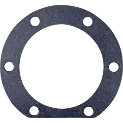 Transmisijos pavarų dėžės įvorės tarpinė Bizon 3020504024091