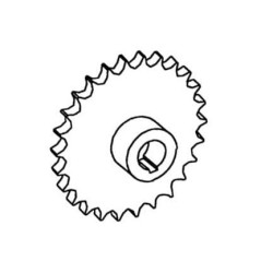 Žvaigždutė AV101279