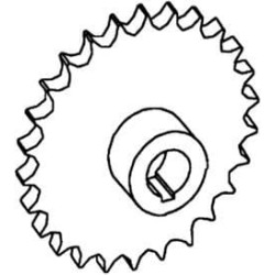 Žvaigždutė AV100212