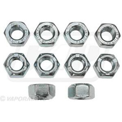 Veržlė (x10) VLG2017