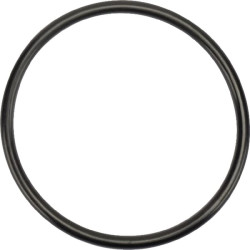 Stūmoklio žiedas New Holland 83904858KR