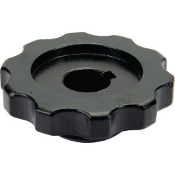 Žvaigždutė 032027N