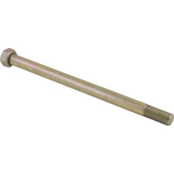 Kintamos pavaros varžtas Bizon 3020504027001