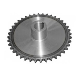 Žvaigždutė AV103507