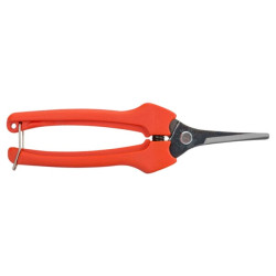 Gėlių ir vaisių žirklės, P128 P12819