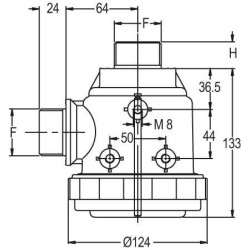 Siurbimo filtras 1 1/4"M 120 l/min 50 akių 8077001