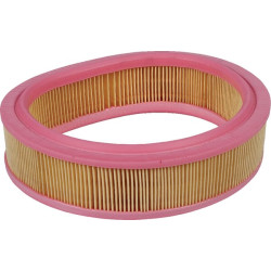 Oro filtro elementas C22331