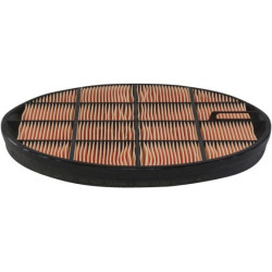 Oro filtro apsauga P636759