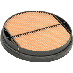 Vidinis oro filtras Donaldson P547520