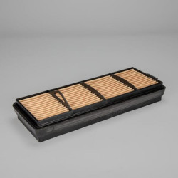 Oro filtro apsauga P958671