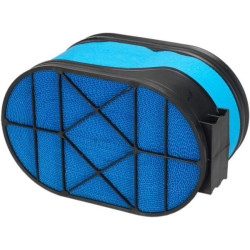 Oro filtras „Powercore“ MĖLYNAS P185396