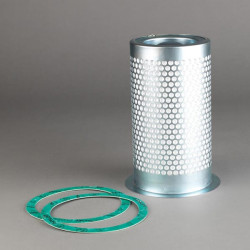 Oro-alyvos separatoriaus filtras P782918