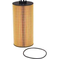 Filtro įdėklas 0001420640