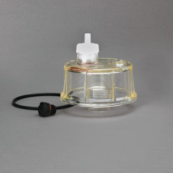 Dubens surinkimas P564747