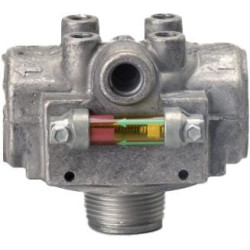 Galvutės mazgas P166387