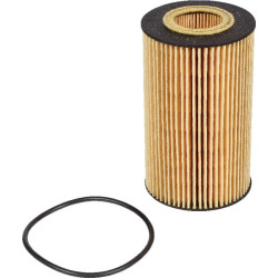 Alyvos filtras su skylute 02931094