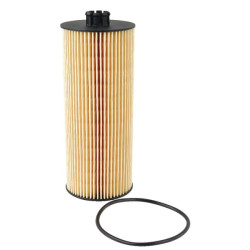 Alyvos filtras SDF 2931093