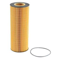 Alyvos filtras 0000687101