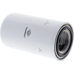 Alyvos filtras 10058667