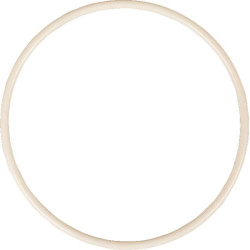 Priekinis alyvos sandariklis 01166111