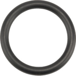 Sandarinimo žiedas 01180347