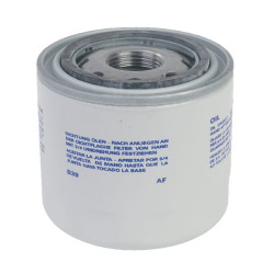 Alyvos filtras 6005031028