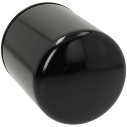 Alyvos filtras HY814W