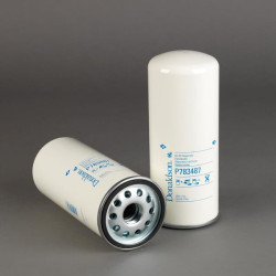 Oro alyvos separatoriaus filtras P783487