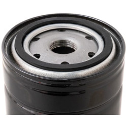 Alyvos filtras H17W09