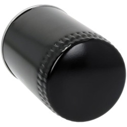 Alyvos filtras H430W