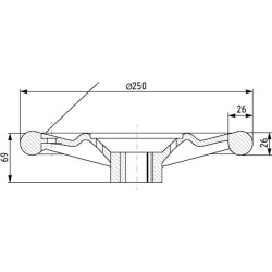 Vairo skersmuo 250 mm, 24,52 stebulė 00320433