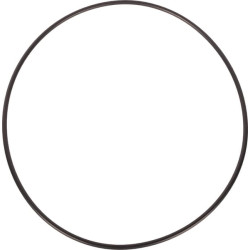 Sandarinimo žiedas su lūpomis 0481152800