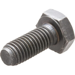 Varžtas su dangteliu X487531506000