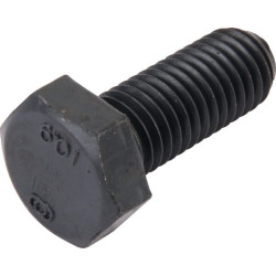 Varžtas su dangteliu X487535606000