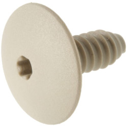 Plastikinis varžtas 931812080051